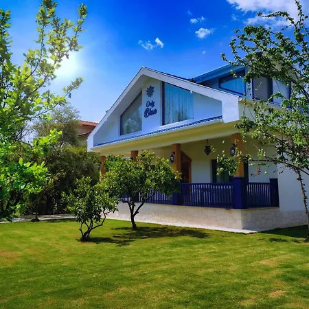 Villa Only Blue
