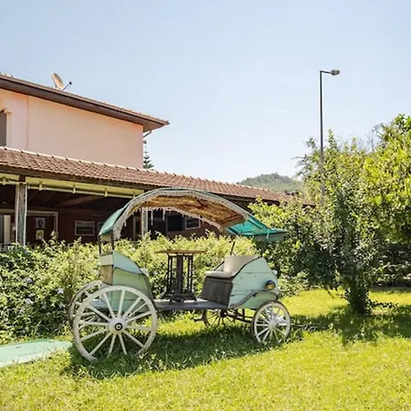 Villa Only Blue Gocek (Fethiye)